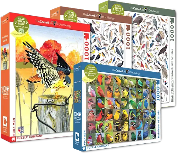  Birds Of North America 1000 Piece Chapter 2 Bird Puzzle Png North America Transparent