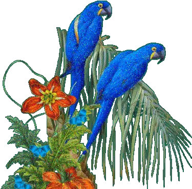  Conversation U2013 15 Page 227 Hsn Community Blue Bird Love Gif Png Iris Apfel: Accidental Icon