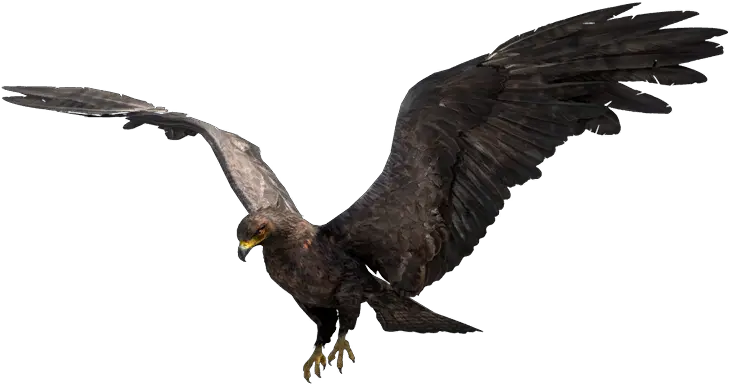  Black Eagle Far Cry Wiki Fandom Far Cry 4 Eagle Png Golden Eagles Logos