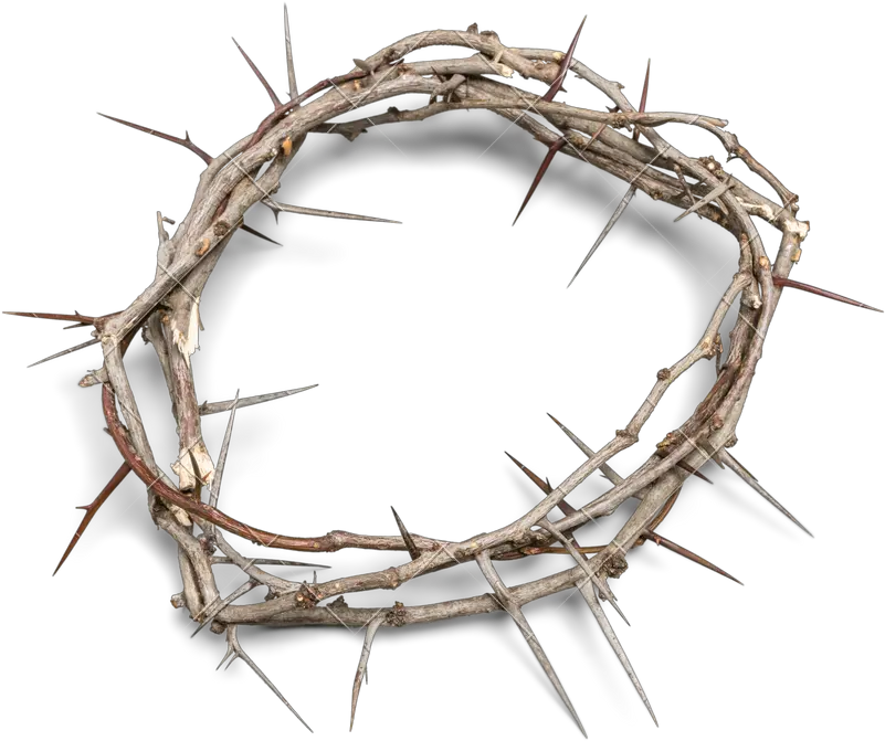  Download Crown Of Thorns Background Transparent Crown Of Thorns Png Thorn Crown Png