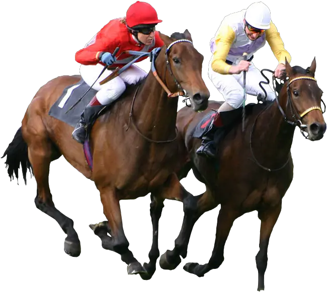  Download Free Png Collection Of Horse Transparent Horse Racing Png Horse Transparent Background