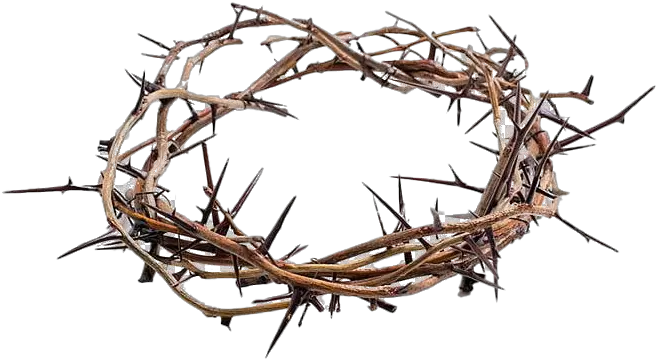  Thorns Crown Png Picture Jesus Crown Of Thorns Png Thorn Crown Png