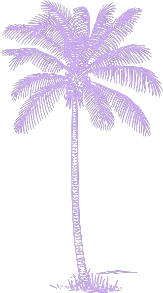  Palm Tree Clip Art Vector Clip Art Online Palm Tree Clip Art Pink Png Palm Leaf Transparent