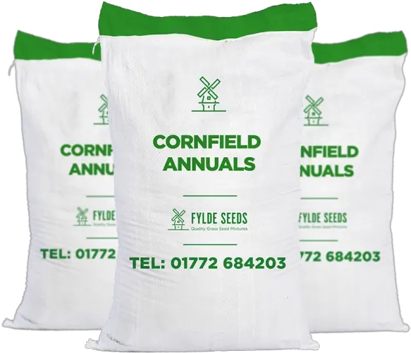  Corn Field Png Cornfield Annuals Mixture Seed 1300923 Linens Corn Field Png