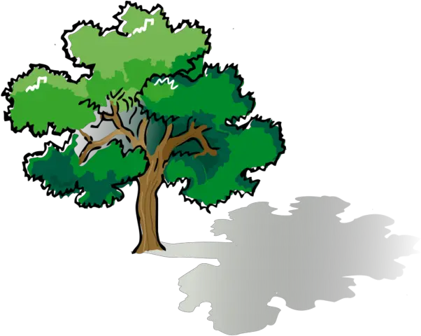  Colored Oak Tree Vector File For Free Tree Drawing Png Oak Tree Silhouette Png