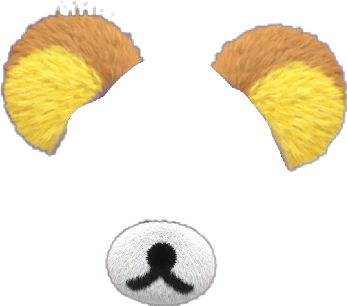  Download Rilakkuma Ears And Nose Snapchatfilter Transparent Bear Ears Png Snapchat Filter Transparent