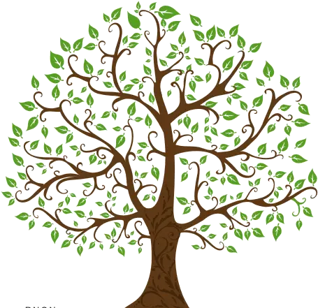  Familty Tree With Branches Png Free Clipart Finders Family Tree Tree Drawing Tree Branches Png