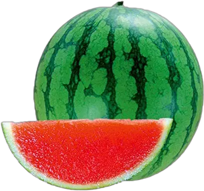  Watermelon Png Hd Quality Play Watermelon Picture Of Fruits Watermelon Png