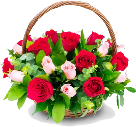  Congratulation Flower Png Transparent Images All Happy Birthday Dearest Friend Latest Rose Flower Png