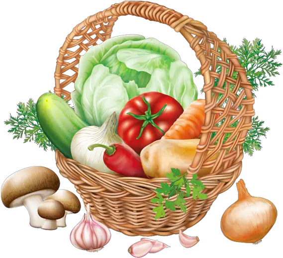  Fruits And Vegetables Png Transparent U0026 Clipart Free Sketch Vegetable Basket Drawing Vegetables Transparent Background