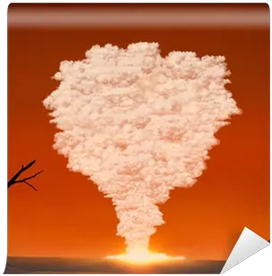  Mushroom Cloud From A Large Explosion In The Desert Wall Mural U2022 Pixers We Live To Change Illustration Png Mushroom Cloud Transparent