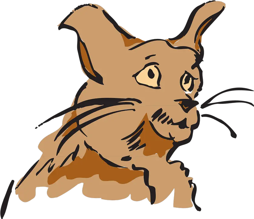  Cat Brown Side Scaredy Cat Meaning Png Sad Cat Png