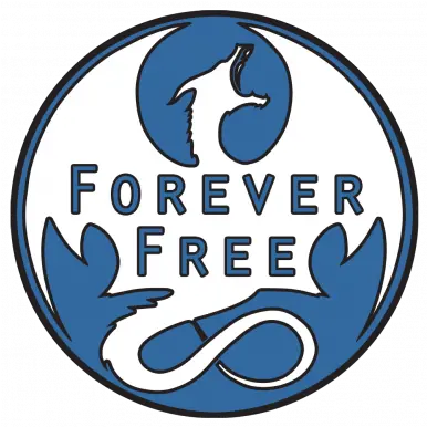  Forever Free Skyrim Mod Forever Free Png Skyrim Dragon Logo