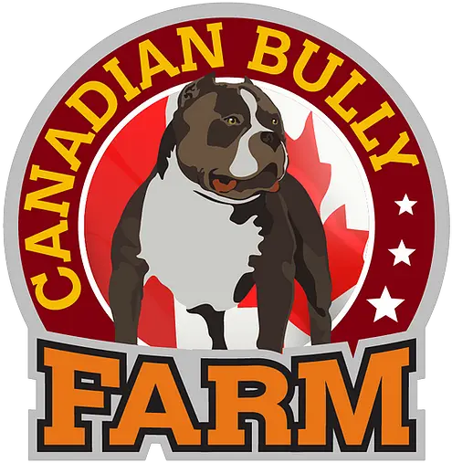  American Bully Breeder Canadian Farm New Brunswick Renascence Bulldogge Png American Bully Logo