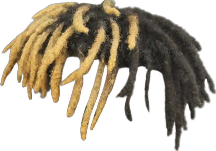  Xxxtentacionu0027s Dreadlocks Xxxtentacion Ripxxxtentacion Xxxtentacion Hair Png Xxxtentacion Png