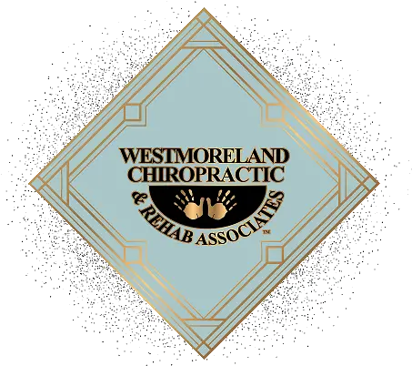  Westmoreland Chiropractic U0026 Rehab Associates Chiropractor Language Png University Of Bridgeport Logo