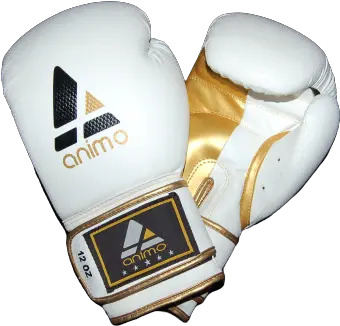  Boxing Gloves U2013 Animo Sports Boxing Glove Png Boxing Glove Logo