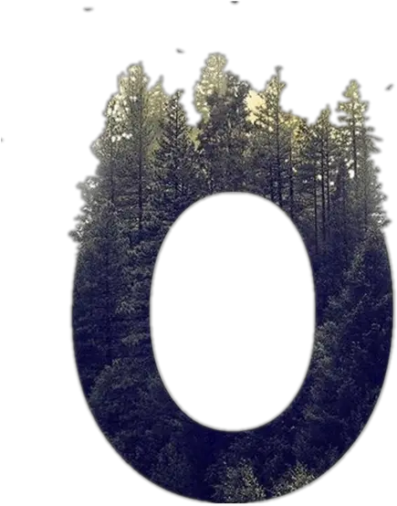  Fullscreen Page Wixtest Trees Growing Out Of Letters Png Letter O Png