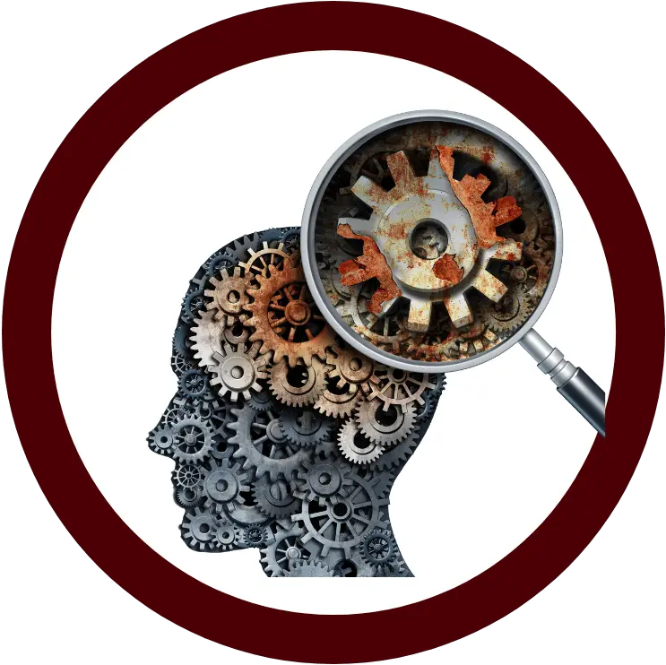  Activities And Clubs Austin High School Photographic Memory Png Brain Gears Icon Png