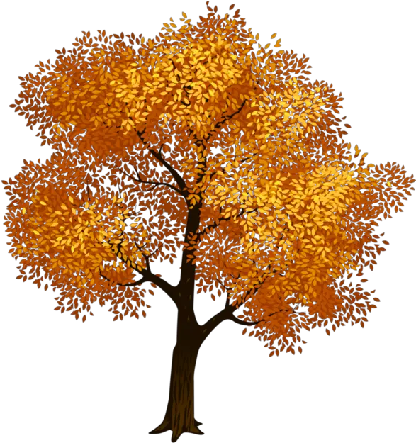  Clip Art Portable Network Graphics Fall Tree Image Tree Transparent Background Green Tree Clipart Png Fall Tree Png