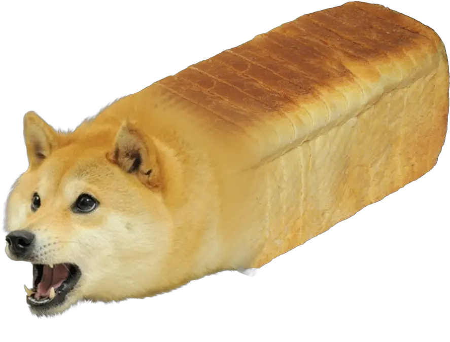  Download Hd Shiba Inu Doge Youtube Doge Dog Breed Png Shiba Inu Png