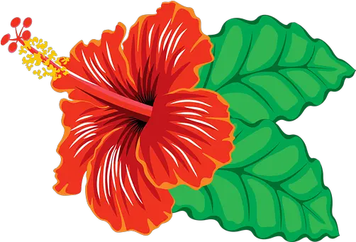  600 Free Tropical U0026 Fish Vectors Pixabay Clipart Hibiscus Flower Png Hawaiian Flower Icon