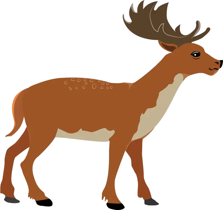  Animal Deer Icon Animal Figure Png Deer Icon Png