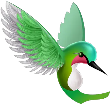  3d Animation Cartoons Of Doorways Lg Optimus Hummingbird Cartoons Png Hummingbird Transparent Background