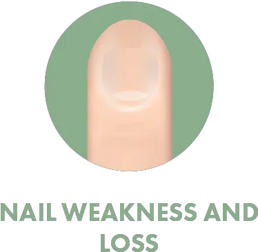  Nail Symptoms U2014 Hope U0026 Beauty Chemotherapy Companion Products Computer Science Png Nails Png