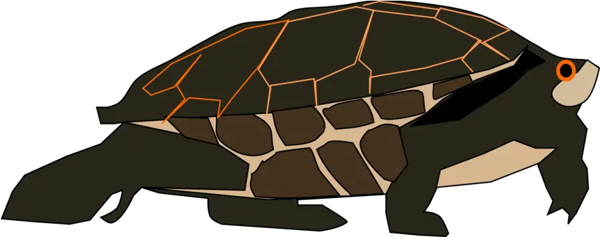  Green Sea Turtle Photo Background Gopher Tortoise Png Turtle Transparent Background