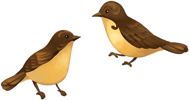  Two Birds Clipart Free Download Transparent Png Creazilla Birds Clipart Birds Transparent