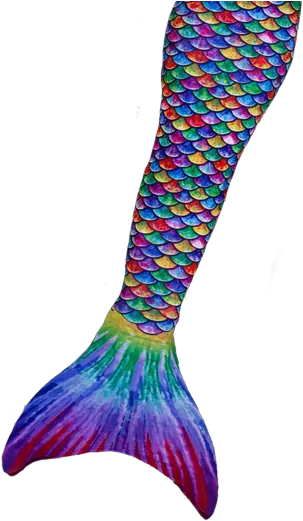  Skin Aurora Borealis Swimmable Clipart Rainbow Mermaid Tail Clipart Png Aurora Borealis Png