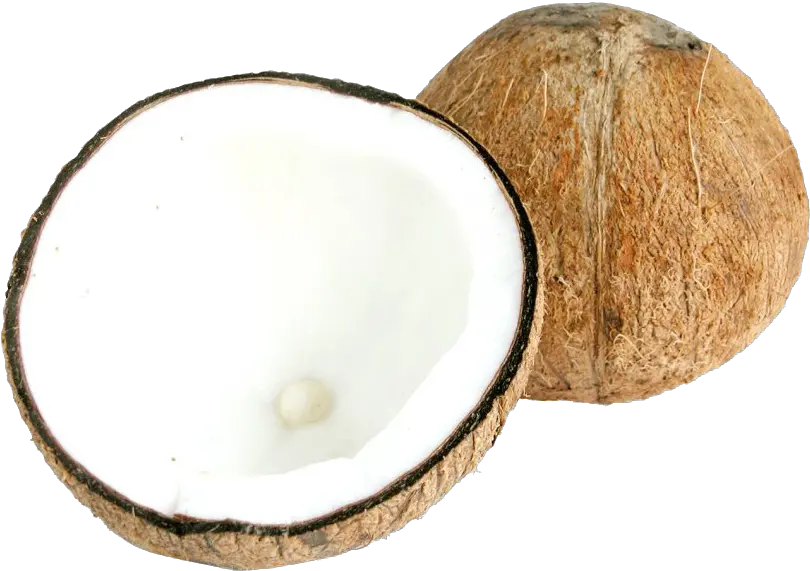  Half Coconut Png Image Transparent Portable Network Graphics Coconut Transparent Background