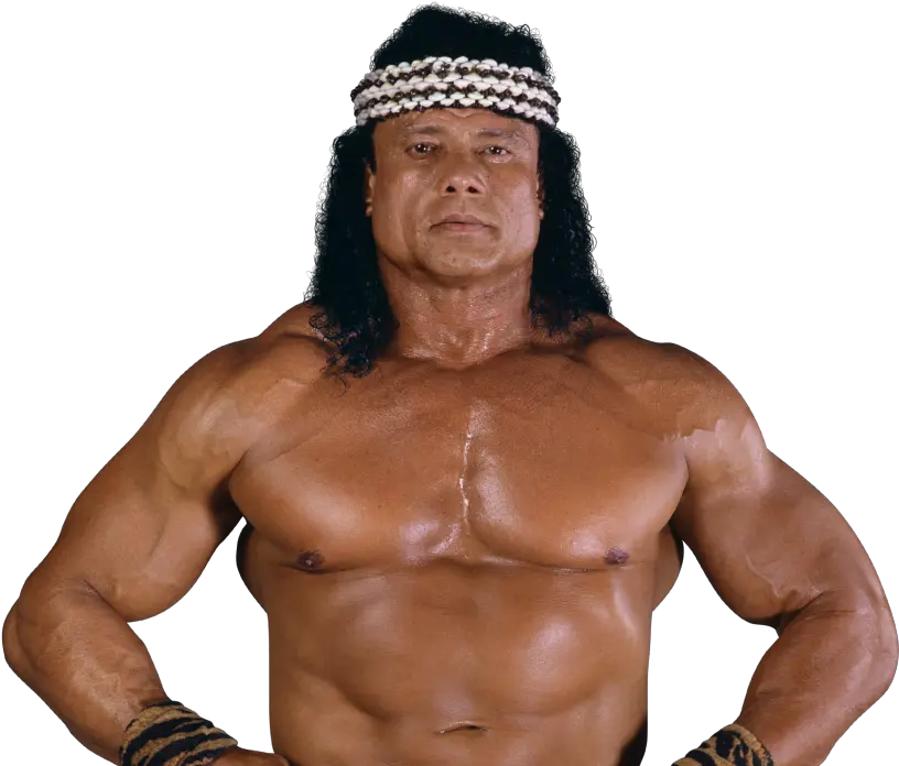  Hulk Hogan Png Jimmy Superfly Snuka Hulk Hogan Png