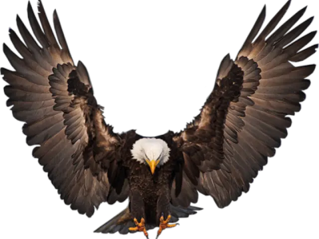  Free Eagle Psd Vector Graphic Vectorhqcom Eagle Front Png Eagles Logo Vector