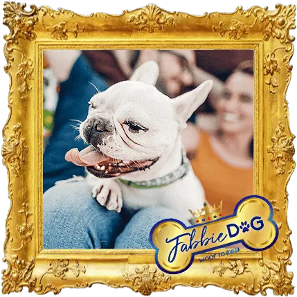  What To Do When Your Friends Arenu0027t Dog People U2013 Fabbie Dog Png Friends Frame Png