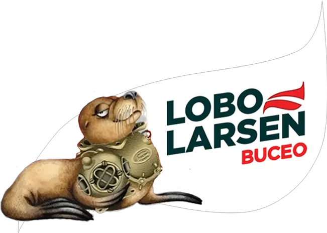  Lobo Larsen Buceo Puerto Madryn Patagonia Argentina Language Png Sea Lion Icon