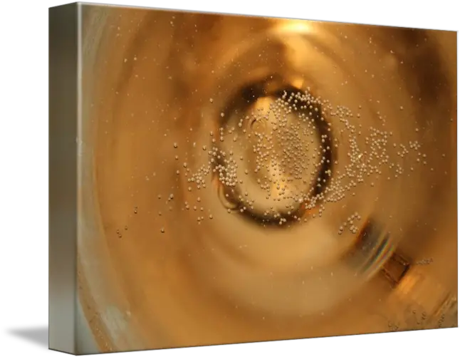  Champagne Bubbles By Derek Raposo Spiral Png Champagne Bubbles Png