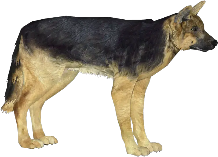  Download German Shepherd Dog 3 German Shepherd Png German Shepherd Png