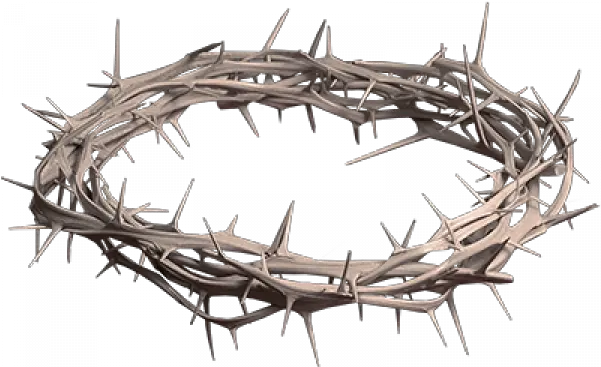  Crown Of Thorns Transparent Background Twig Png Crown Of Thorns Transparent