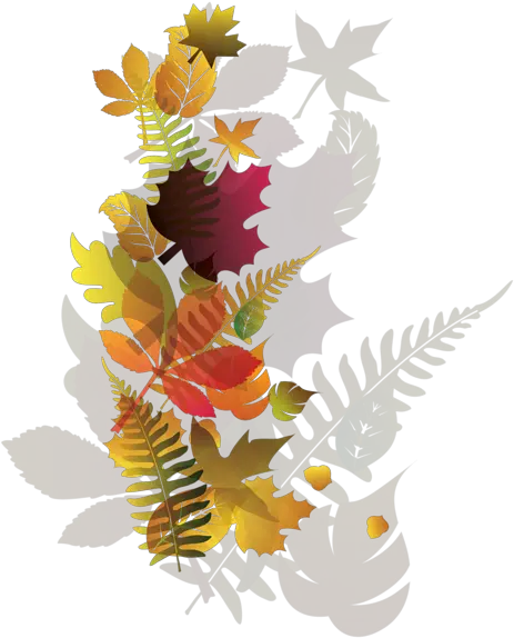  Photo Transparent Deco Fall Leaves Png Image Autumn Album Goddard Fall Festival Fall Leaves Png