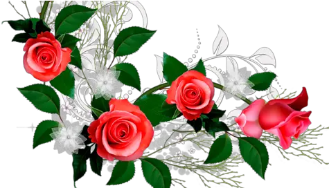  Arranjo Rosas Vermelhas Thumb Arranjo De Flores Png Rosas Png