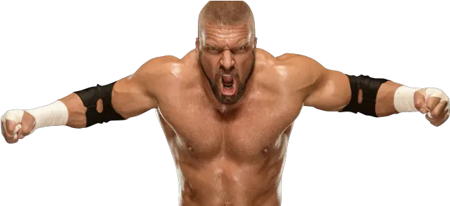  Catcheur Wwe Triple H Triple H Png Triple H Png