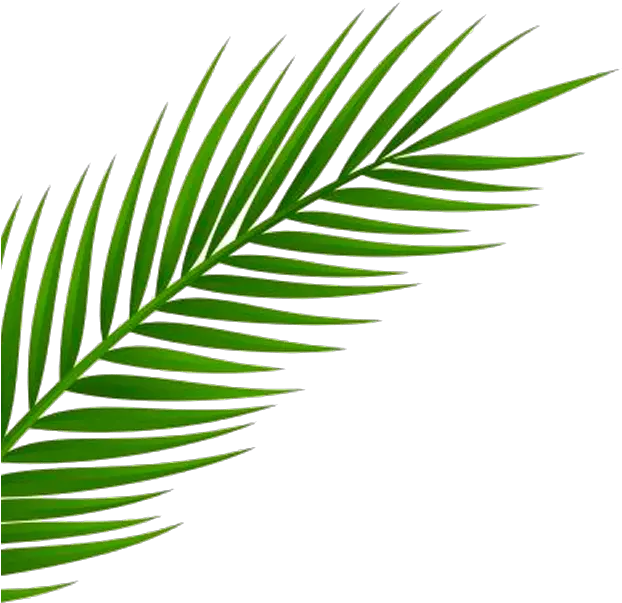  Neon Palm Tree Png Inspired By A Recent Trip To Miami By Transparent Transparent Background Leaf Png Palm Tree Leaves Png