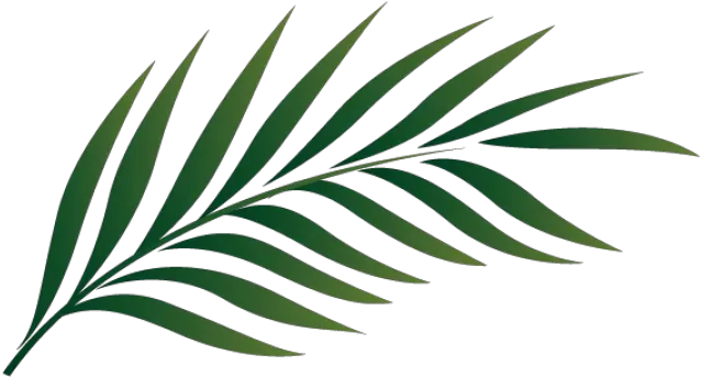  Download Palm Sunday Leaf Kid Png Images Clipart Free Palm Branch Clip Art Kid Png