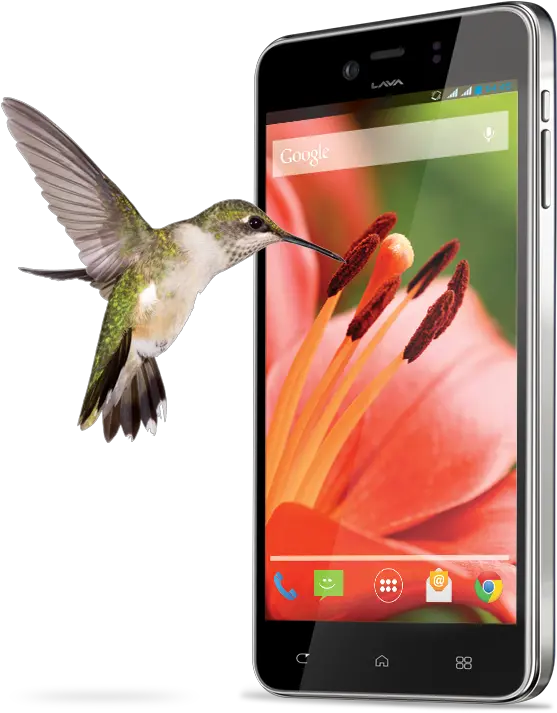  Lava Iris Pro 30 Specs Review Release Hummingbird Png Lava Iris Icon Flip Cover