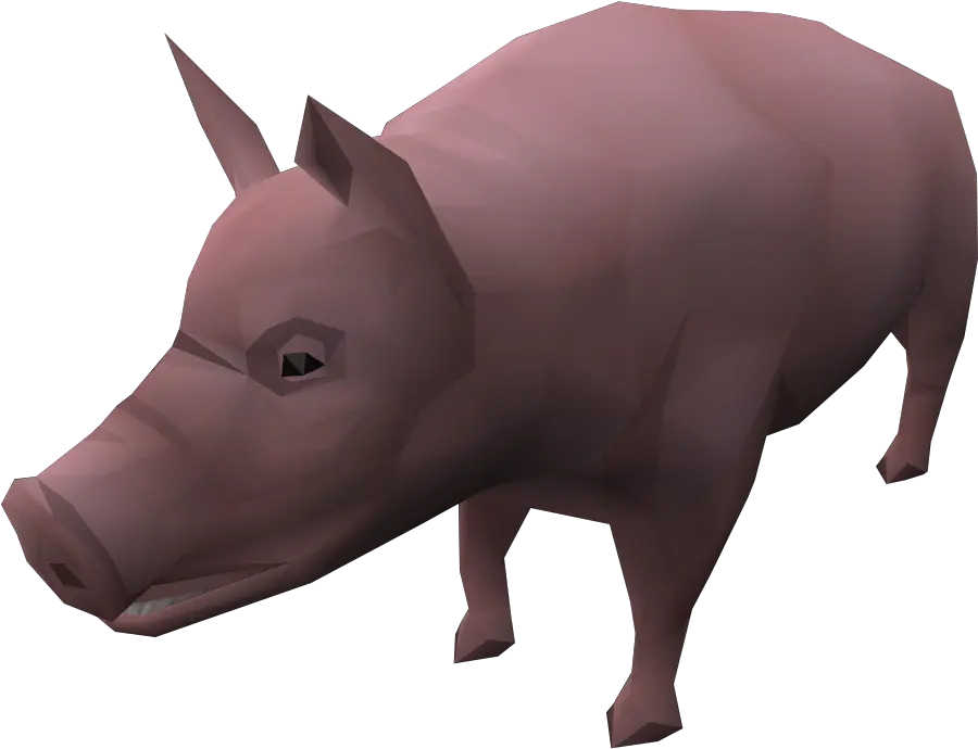  Pig The Runescape Wiki Domestic Pig Png Pig Png