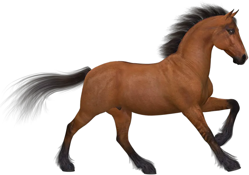  Horse Running Png 5 Image De Cavalo Png Horse Running Png