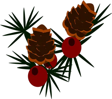  70 Free Pine Cone U0026 Christmas Illustrations Ponderosa Pine Png Pine Cone Icon