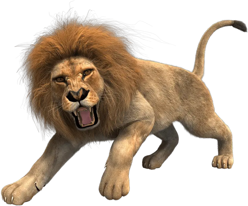  Lion Png Clipart 22 Png Lion Hd Lion Png Logo